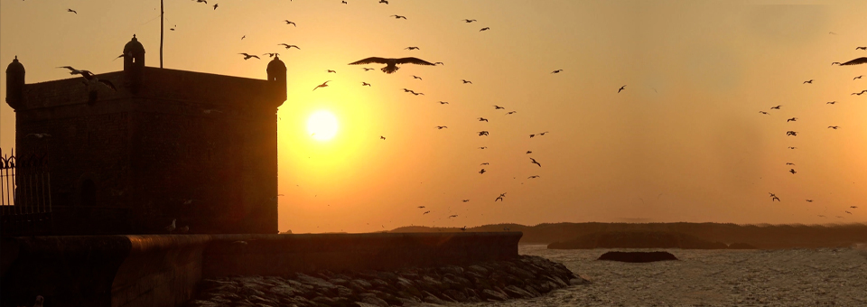 Envie D’Essaouira